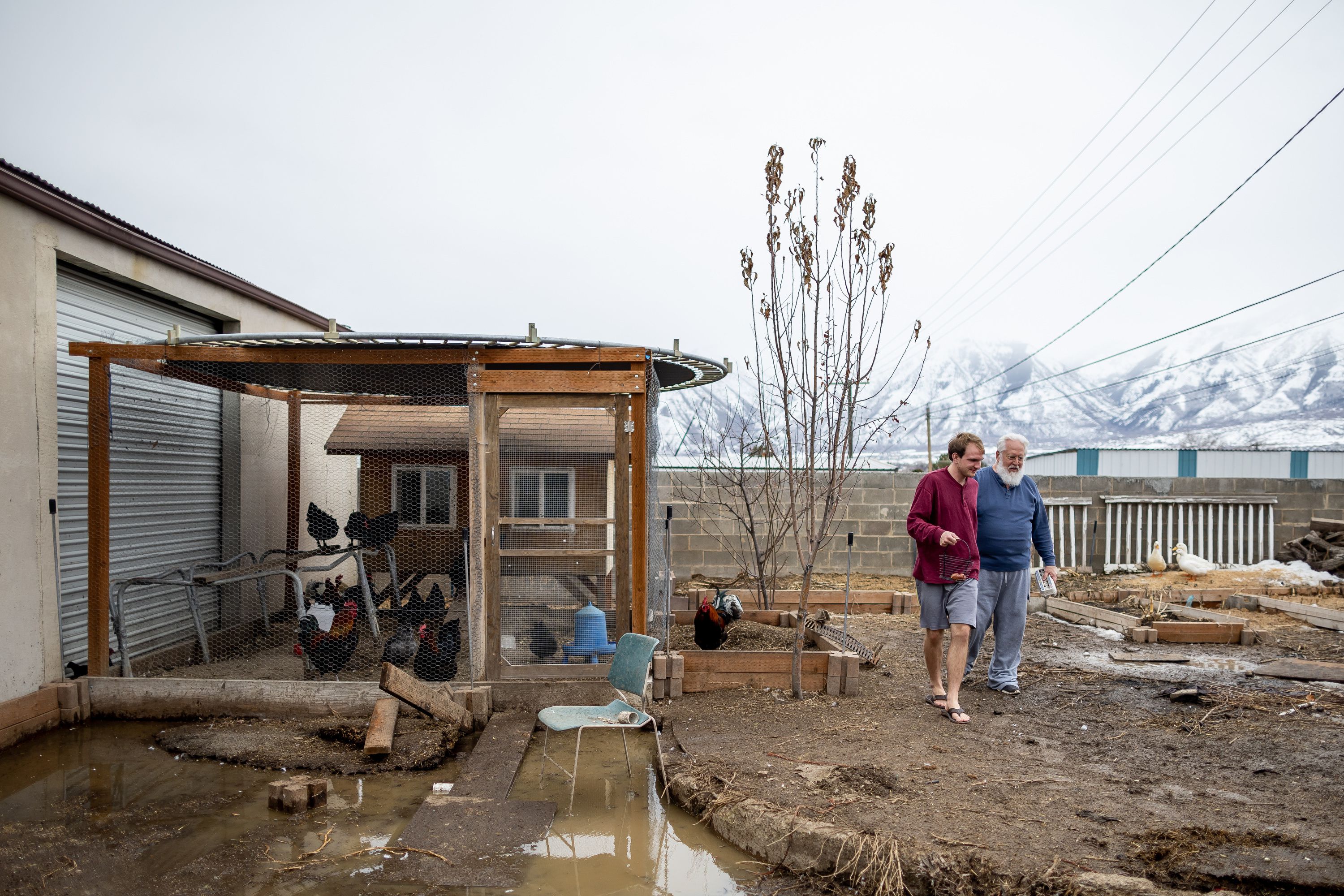 Nicky Bennett, 22, and his father, John Bennett, collect eggs from the family’s coop at their home in Payson on Feb. 21.