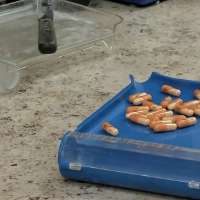 University of Utah service tracks drug shortages for patients, health care providers nationwide