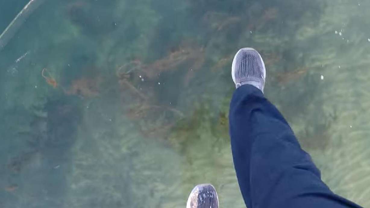 Lake Superior is frozen enough to walk on in this video posted Feb. 1.