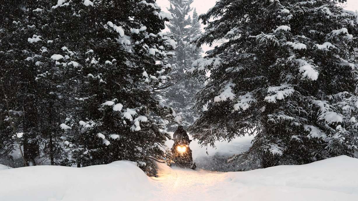 A snowmobiler rides through the snow near the Spruces Campground in Big Cottonwood Canyon on Feb. 27, 2023.