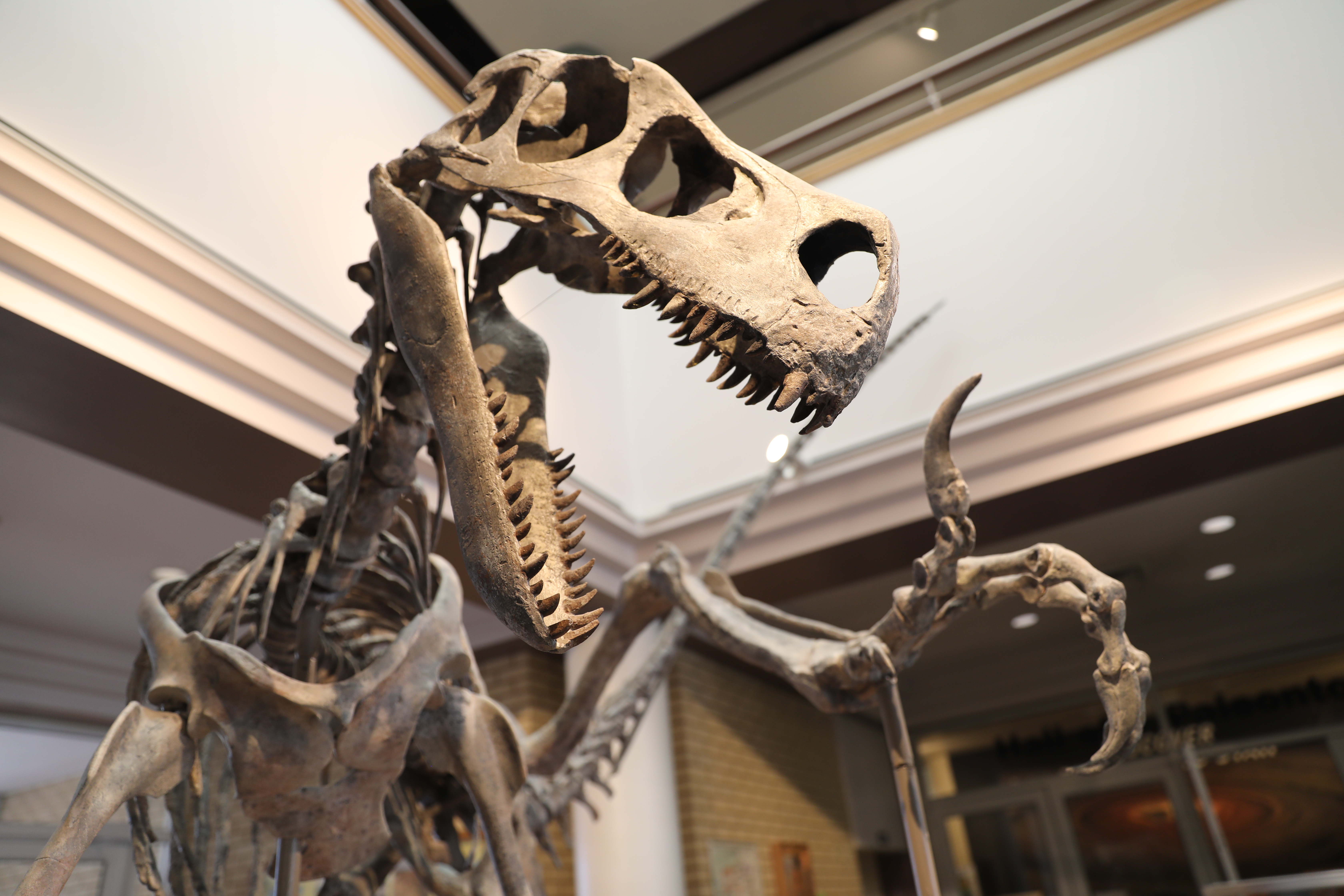 Your Utah adventure starts in the Carbon Corridor