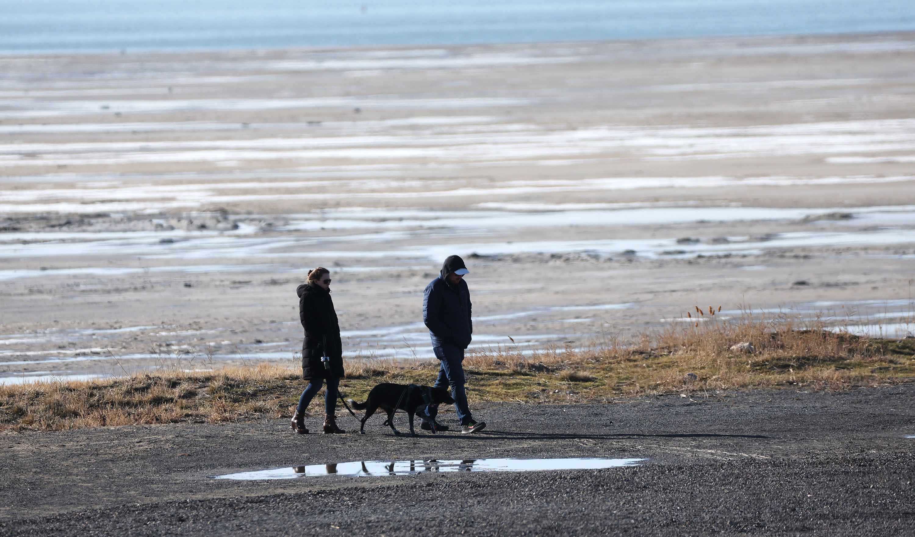 A couple and their dog walk near the Great Salt Lake on Feb. 7. Critics panned the Utah Legislature for failing to set a target elevation for the Great Salt Lake via a non-binding resolution.