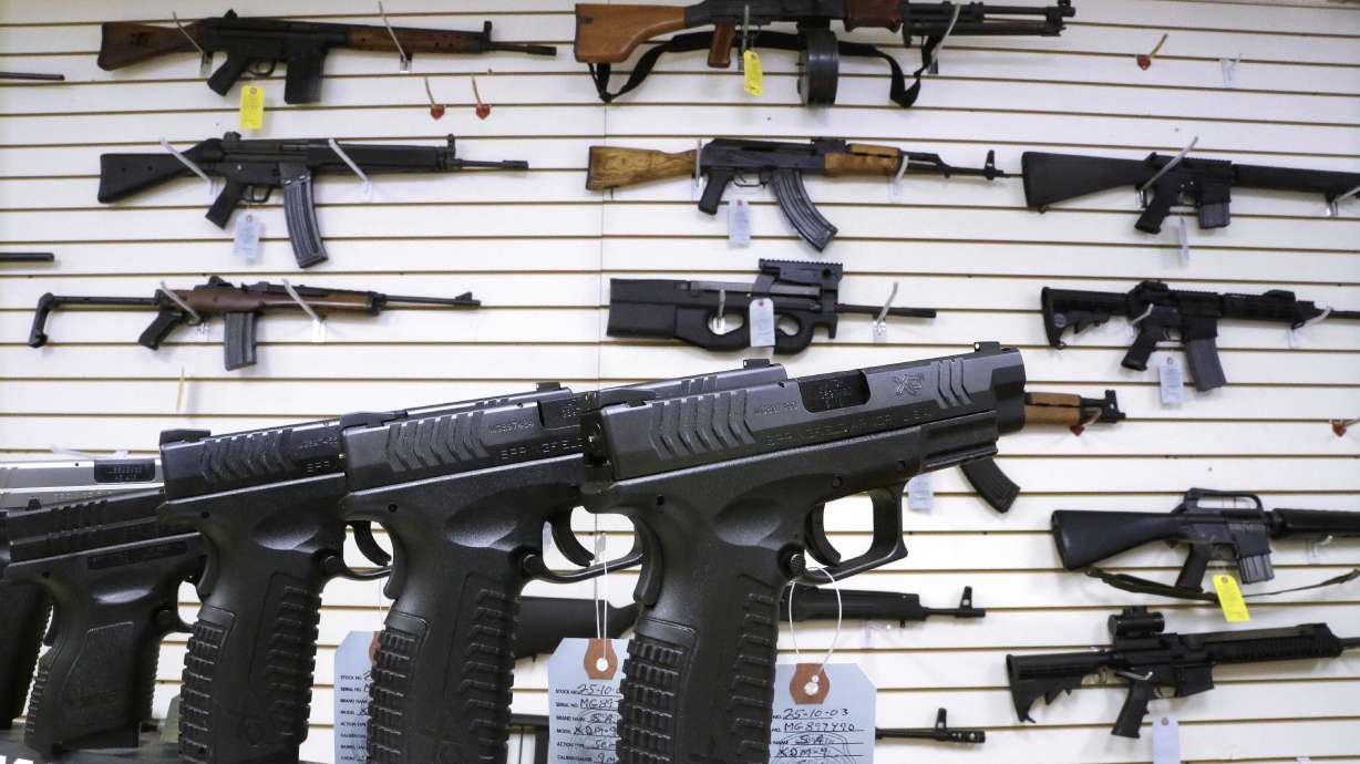 Visa and Mastercard are pausing categorizing purchases at gun shops, a significant win for those who felt that tracking gun shop purchases would inadvertently discriminate against legal firearms purchases.