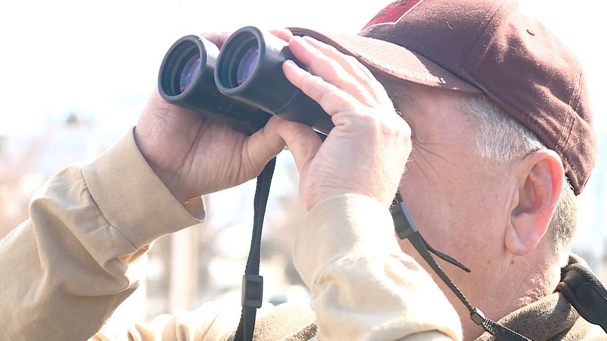 Scott Root with Utah's Division of Wildlife and Resources looks for wildlife.