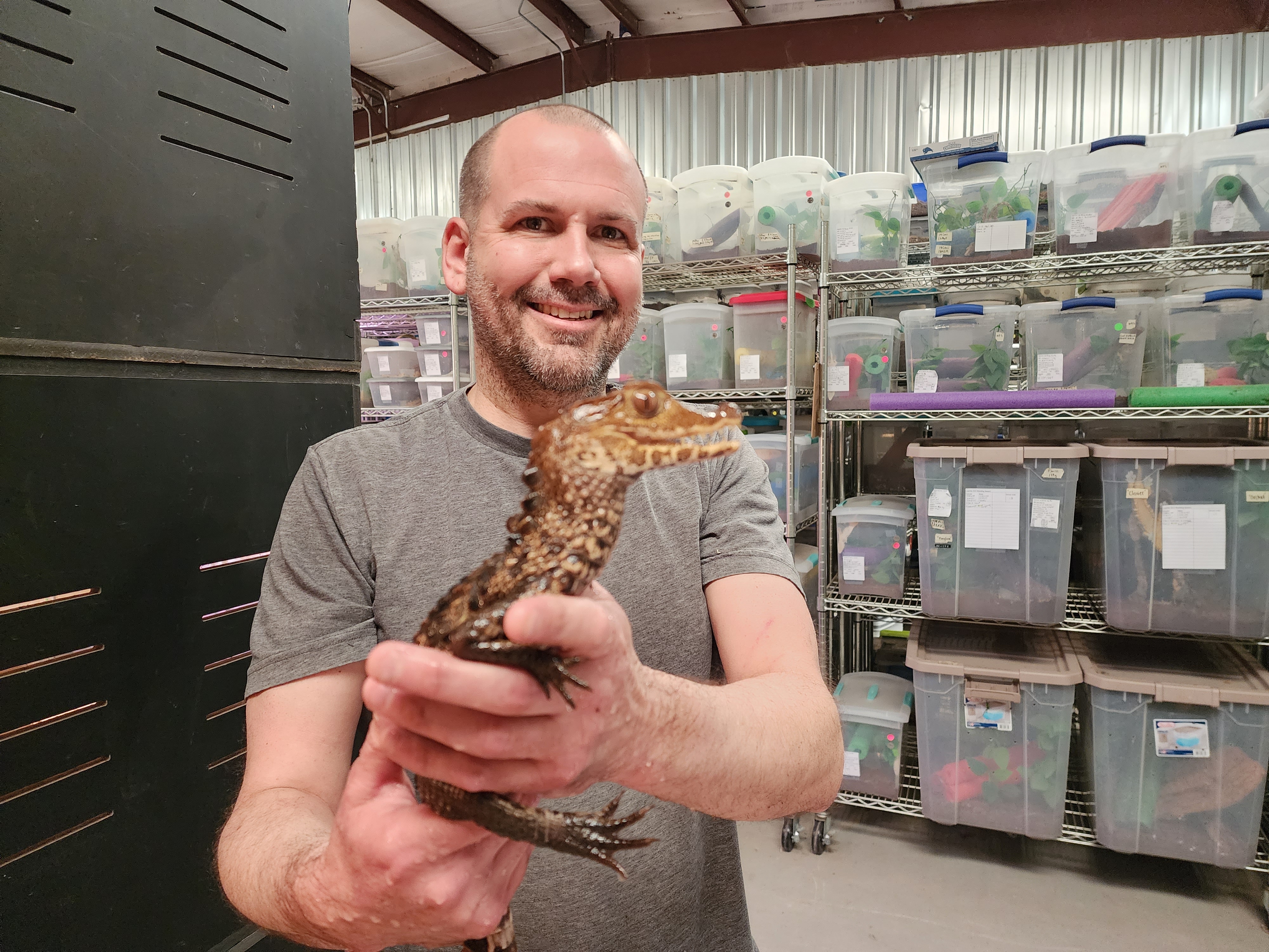 Joey Mugleston, of Great Basin Serpentarium, with a young Cuvier's dwarf caiman, a reptile native to northern and central South America. They can be up to 5 feet long in the wild.