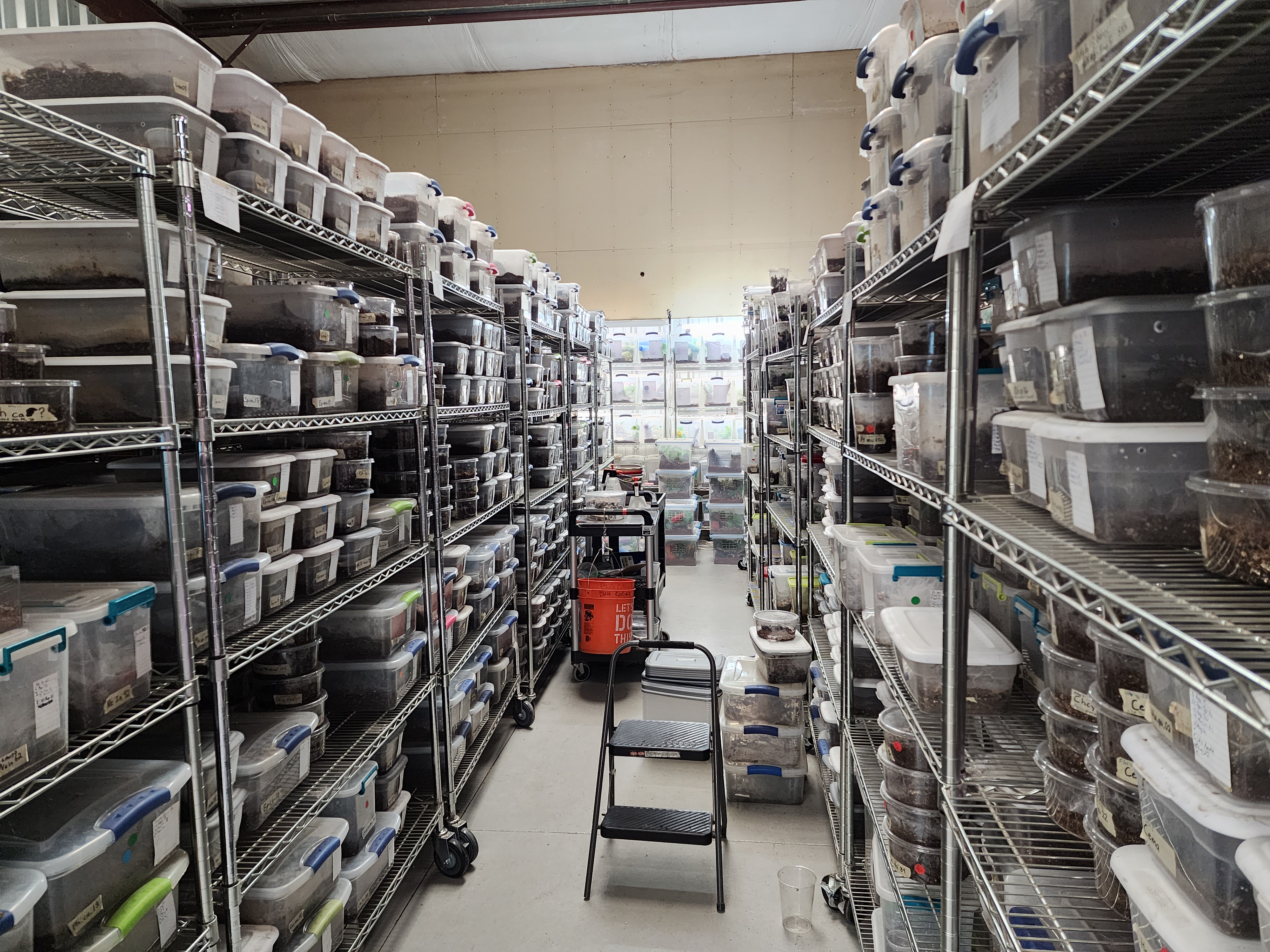 This aisle at Great Basin Serpentarium in Lindon, Utah, contains only invertebrates, such as spiders and scorpions, some of which are available for purchase to keep as pets.
