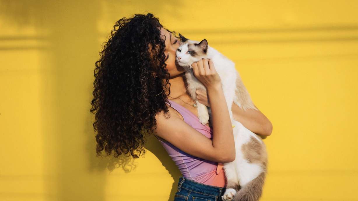 Why pet adoption is the best decision you'll ever make