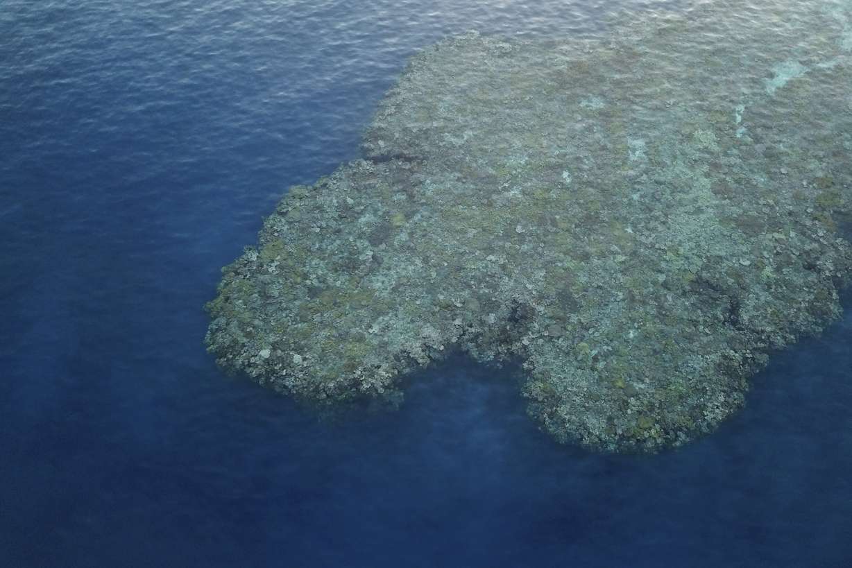 Corals on the Great Barrier Reef are visible in Gunggandji Sea Country off coast of Queensland in eastern Australia on Nov. 14, 2022. Humanity still has a chance, close to the last one, to prevent the worst of climate change’s future harms, a top United Nations panel of scientists said Monday.