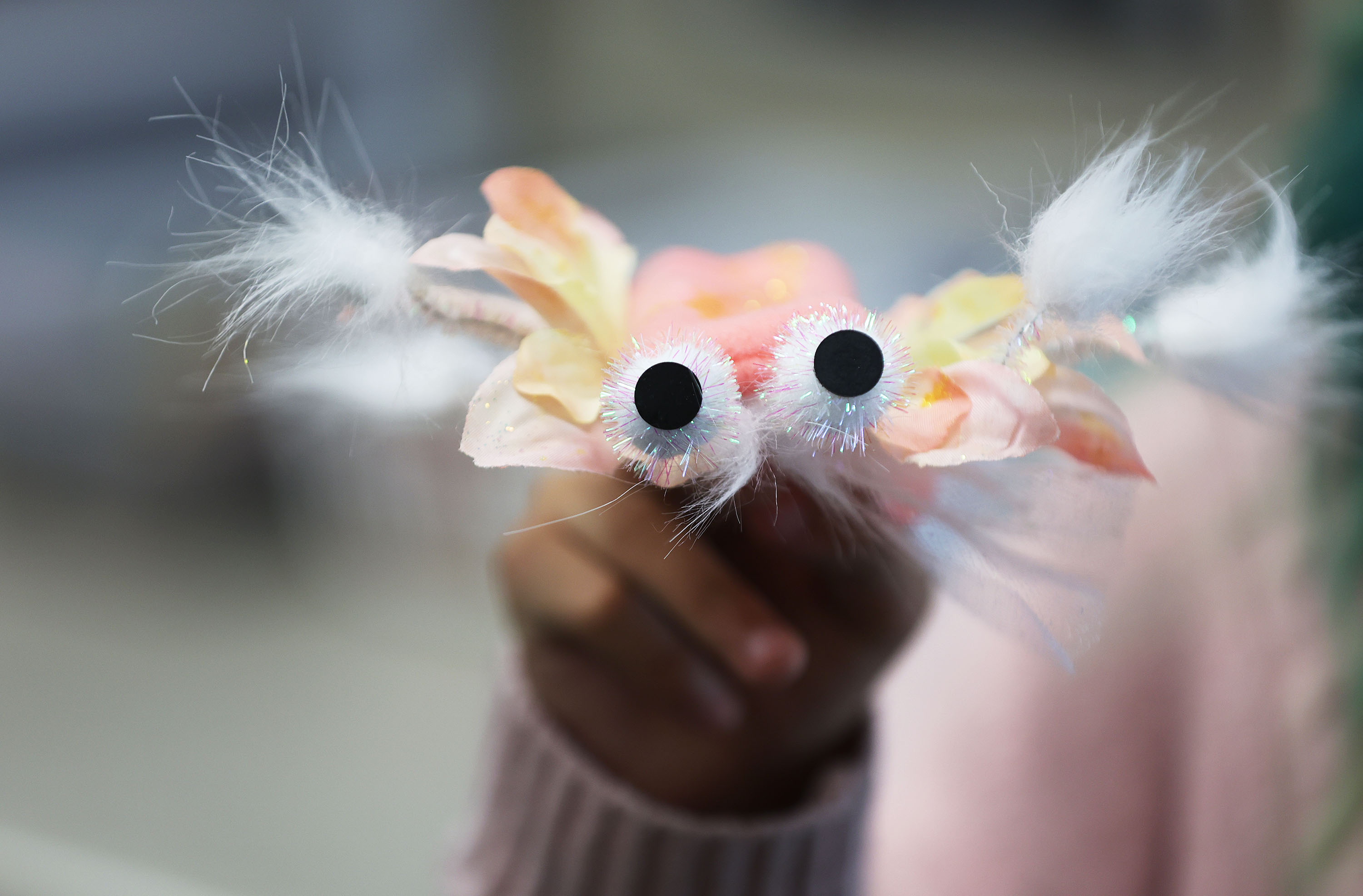 An Emerson Elementary School student holds the class brine shrimp mascot in Salt Lake City on Jan. 13. The brine shrimp was recently designated as the state crustacean.