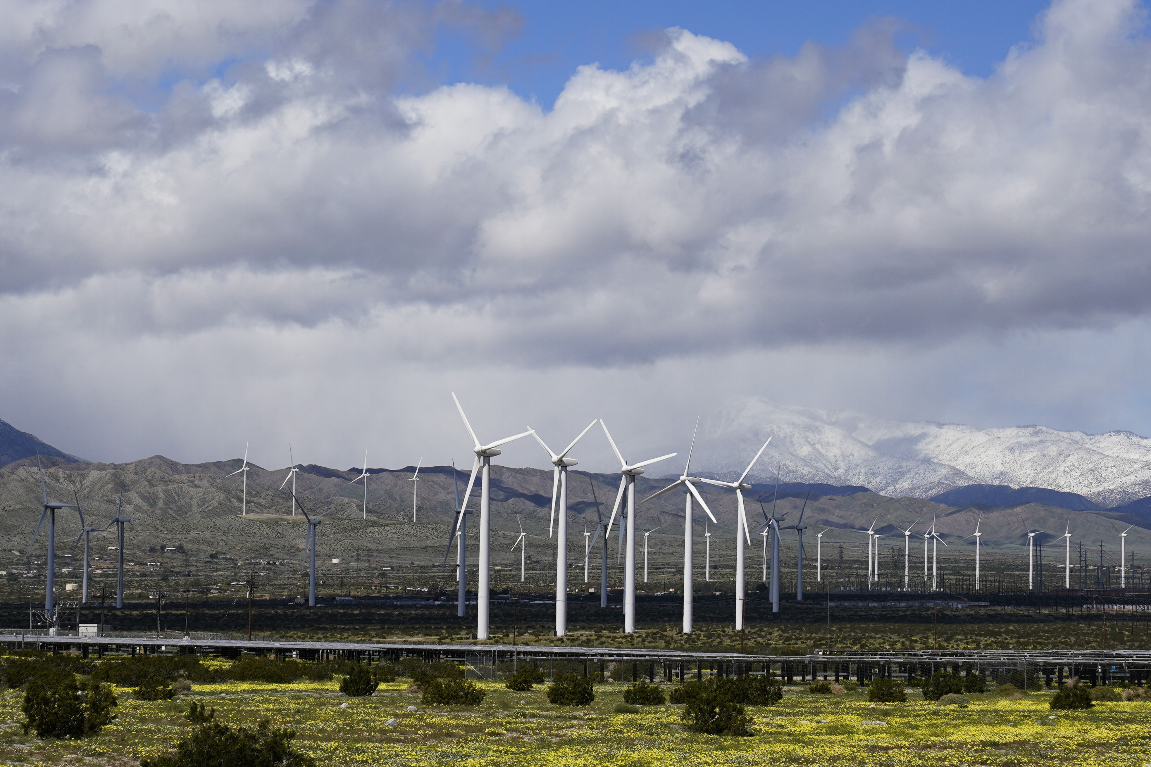Wind turbines near Palm Springs, Calif., March 22. Electricity generated from renewables surpassed coal in the United States for the first time in 2022, the U.S. Energy Information Administration announced Monday.