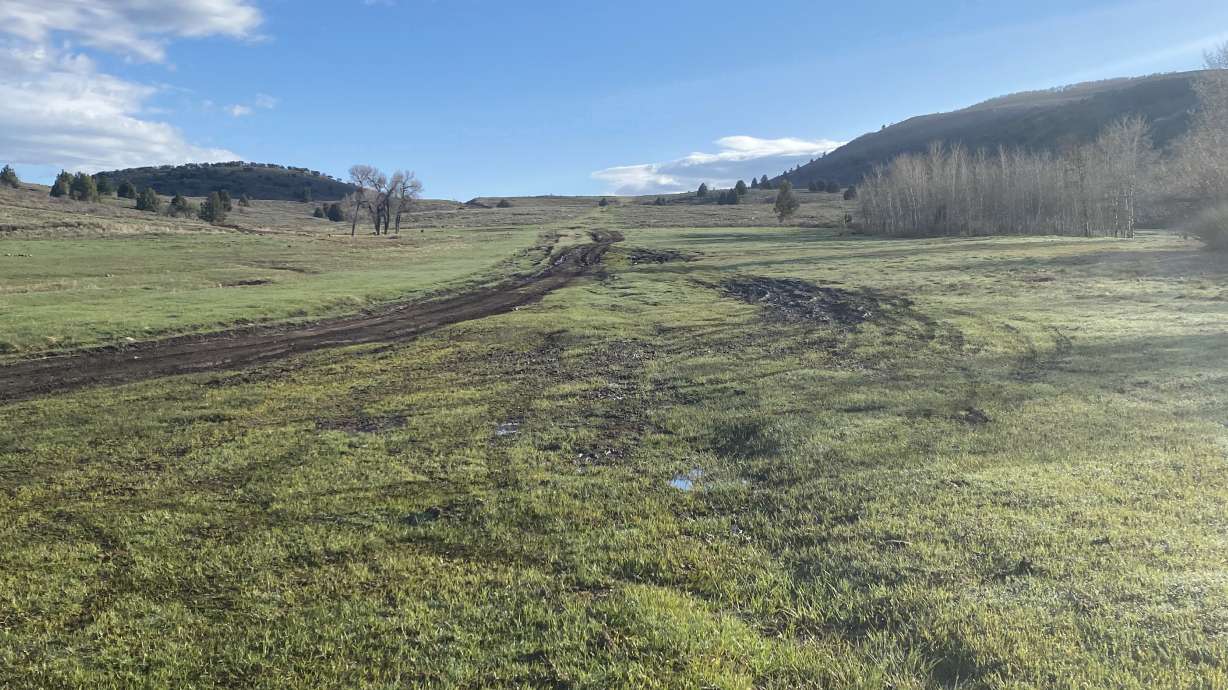 Recreational vehicle use damage near the Hardware Flats camp at Hardware Wildlife Management Area on May 7, 2021. Officials are closing the area for reparation.