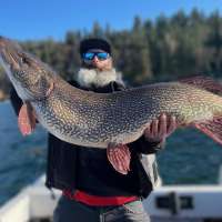 Angler breaks Idaho's northern pike record with impressive catch