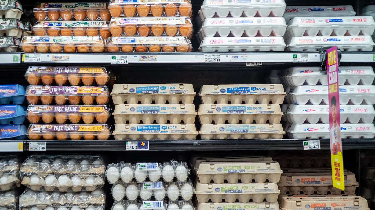 High egg prices send profits at Cal-Maine Foods, the largest egg producer in the U.S., soaring more than 700%.