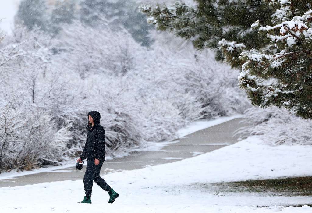 Marcus Sawchuk of Salt Lake City walks in 11th Avenue Park in Salt Lake City on Thursday.