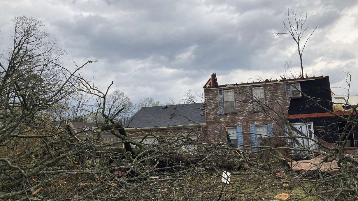 A home is damaged and trees are down after a tornado swept through Little Rock, Arkansas, on Friday.