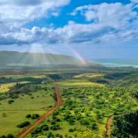 Utah investors create sustainable farming, preserve Hawaiian culture at Dole plantation site