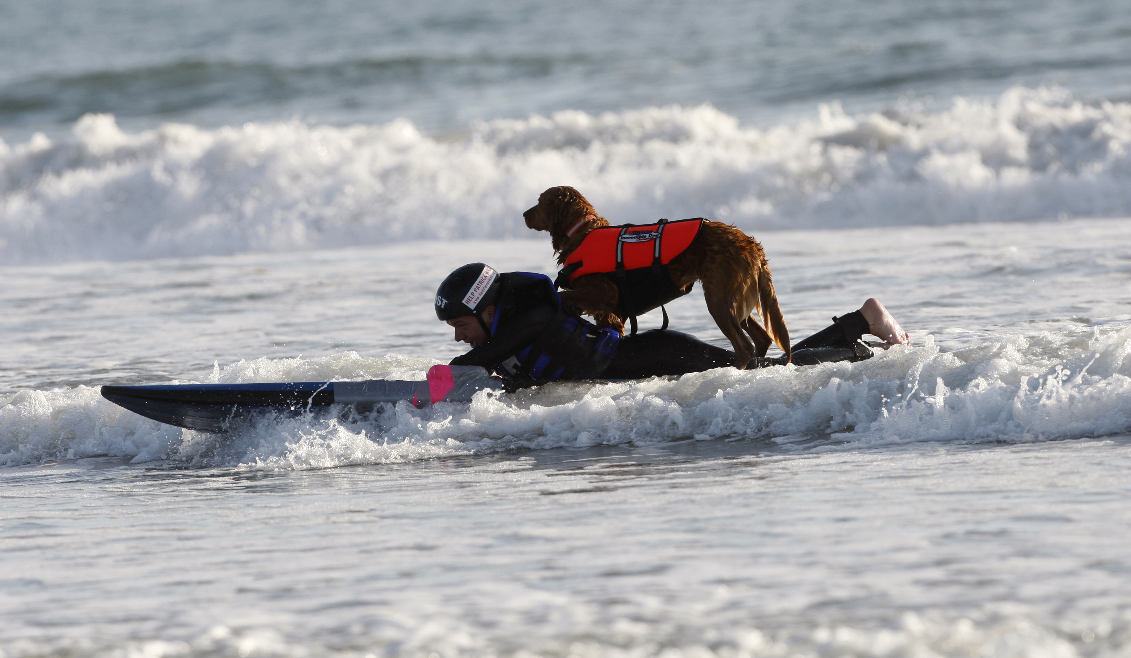 FILE - Patrick Ivison, 15, and Ricochet, a golden retriever surfing partner, cruising toward shore during a surfing session at the Cardiff State Beach in San Diego. Ricochet, the beloved Golden Retriever who found her calling as a therapy dog when she learned to surf, has died in Southern California. The 15-year-old dog helped countless veterans and kids during more than a decade providing therapy in the waves off San Diego, according to her owner Judy Fridono. 