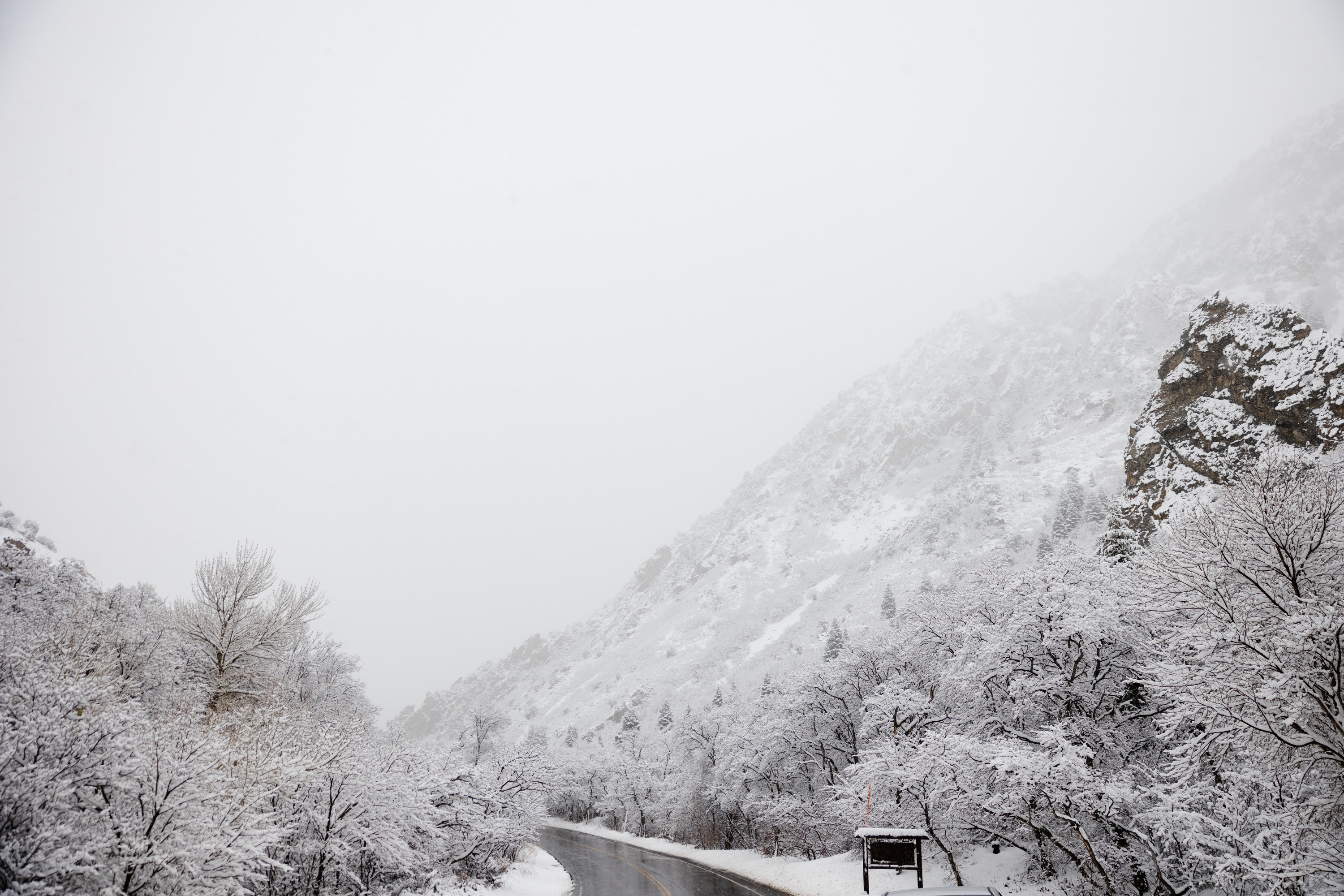 Snow falls at Millcreek Canyon in Salt Lake City on April 3. Several crashes have been reported on Wasatch Front roads Monday morning as heavy snow moved into the area overnight.