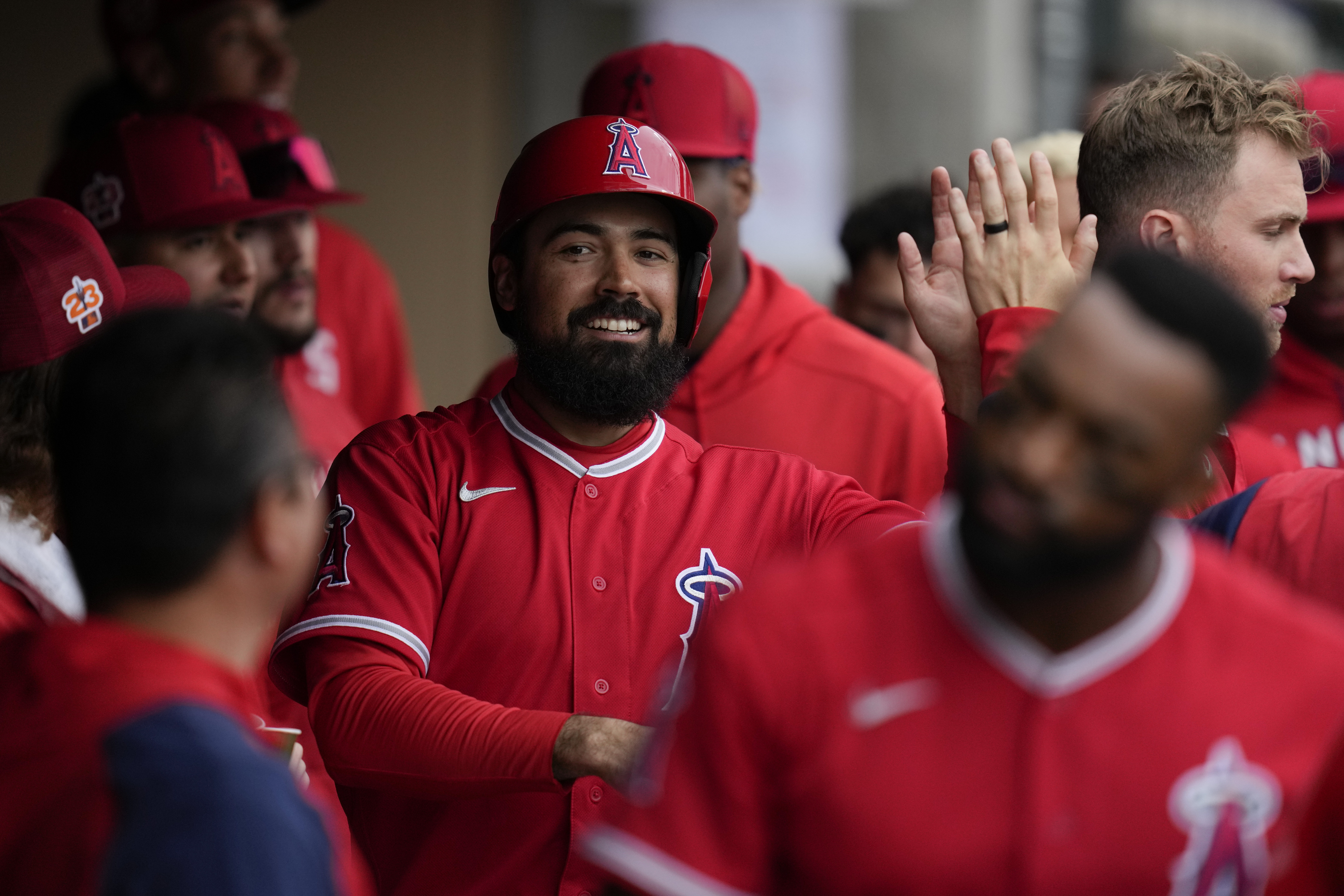 Los Angeles Angels' Anthony Rendon celebrates in the dugout after scoring off of a home run hit by Jo Adell during the first inning of a spring training baseball game against the Arizona Diamondbacks in Scottsdale, Ariz., Tuesday, March 21, 2023. 