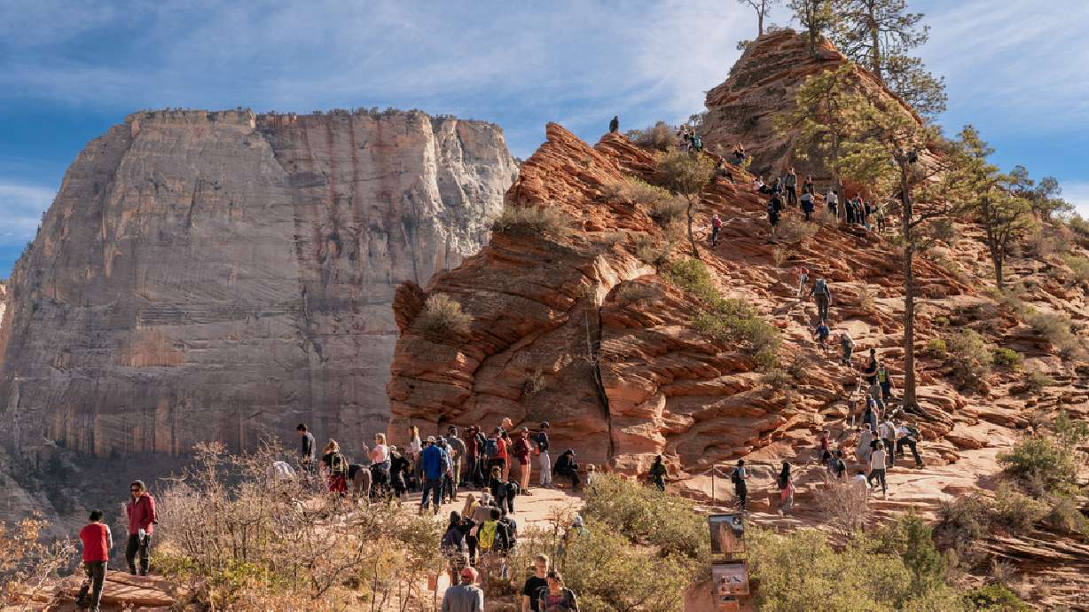 A Texas man has died after a fall at Zion National Park's Angels Landing.