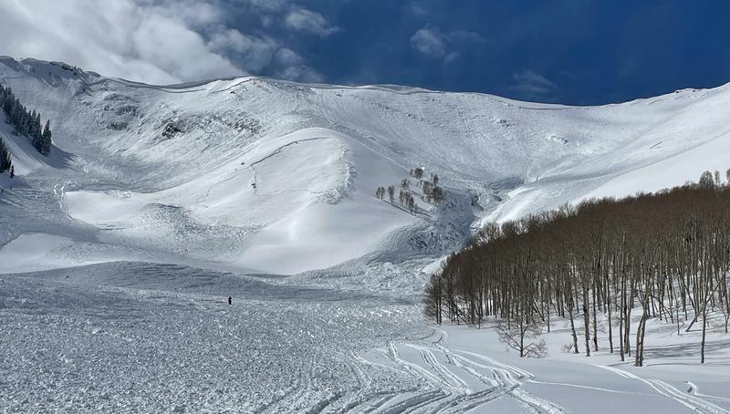 A photo of Pole Canyon, taken after a snowmobiler was killed by an avalanche on March 27. Experts wrote in a report Tuesday that it was unintentionally triggered in an area that received a lot of snow on a weak snow base. 