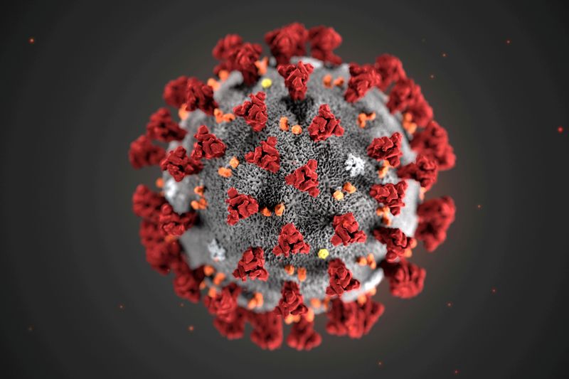 The ultrastructural morphology exhibited by the 2019 Novel Coronavirus (2019-nCoV), which was identified as the cause of an outbreak of respiratory illness first detected in Wuhan, China. 