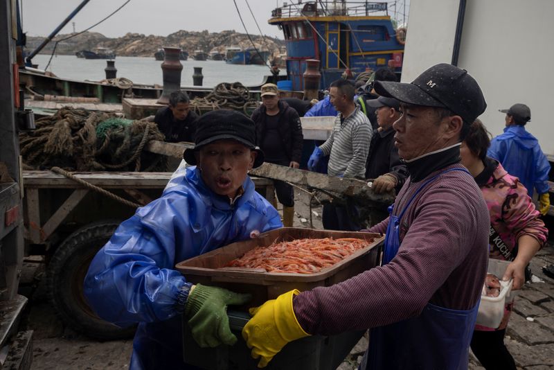 Fishermen unload shrimp which they caught in the Taiwan Strait as their ship discharges its catch at a harbour on Pingtan Island, Fujian province, China on Friday.