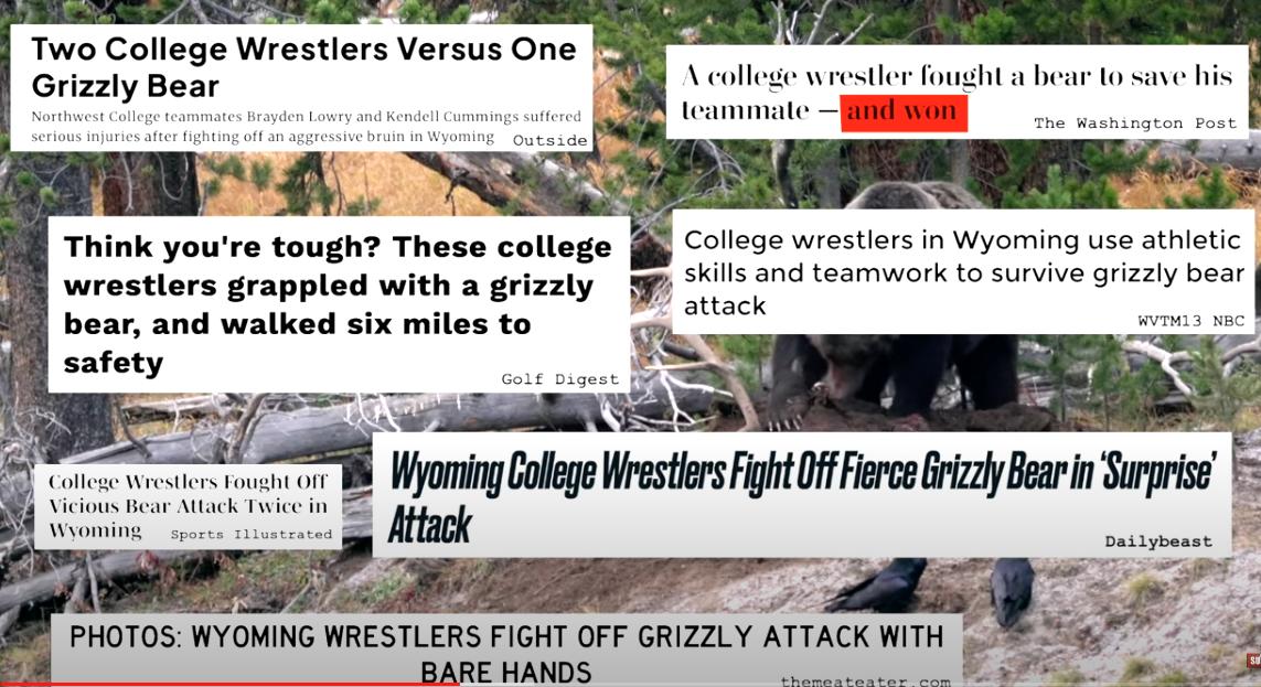 A collection of news headlines follows a grizzly bear attack involving two college students in October 2022.