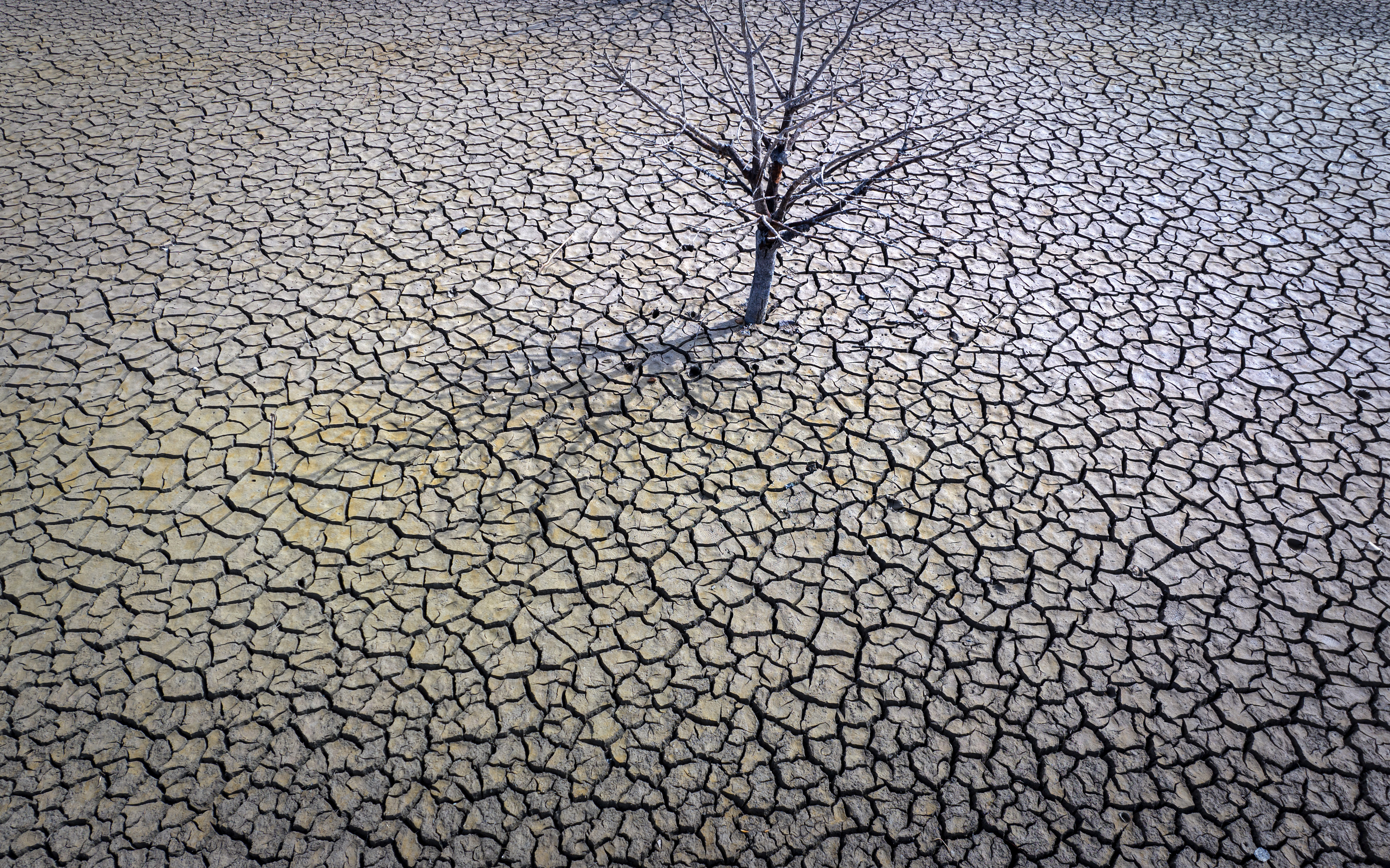 The dry Sau reservoir about 62 miles north of Barcelona. Spain, March 20. The main Spanish farmers association on Thursday says drought now affects 60% of the Spanish countryside.