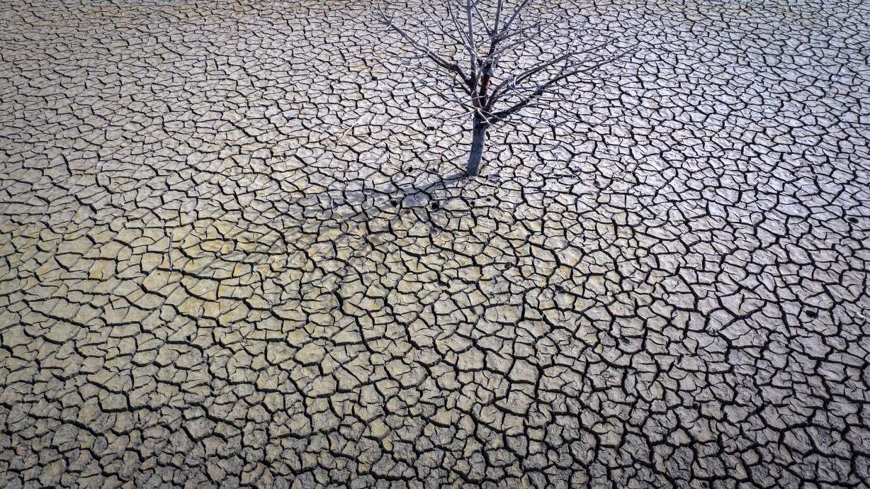 The dry Sau reservoir about 62 miles north of Barcelona. Spain, March 20. The main Spanish farmers association on Thursday says drought now affects 60% of the Spanish countryside.