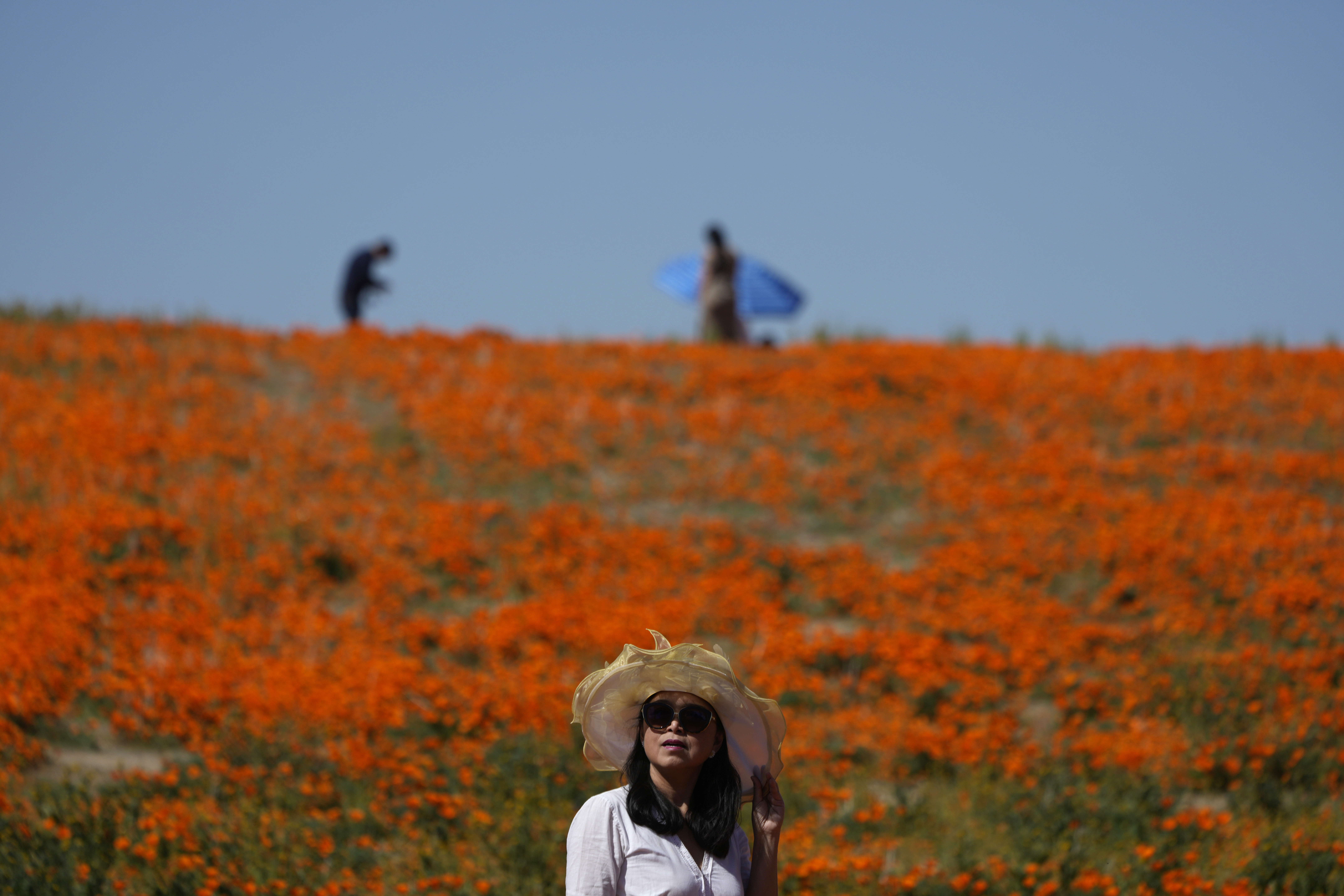 A visitor stands on a field of blooming flowers near the Antelope Valley California Poppy Reserve, April 10, in Lancaster, Calif. 