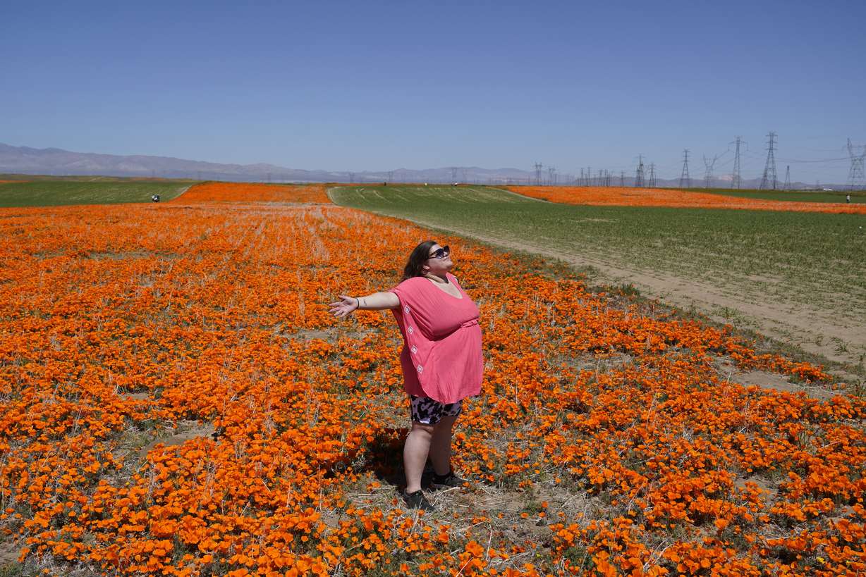 Laila Treadwell, visiting from Atlanta, poses for photos on a field of blooming flowers near the Antelope Valley California Poppy Reserve, April 10, in Lancaster, Calif.