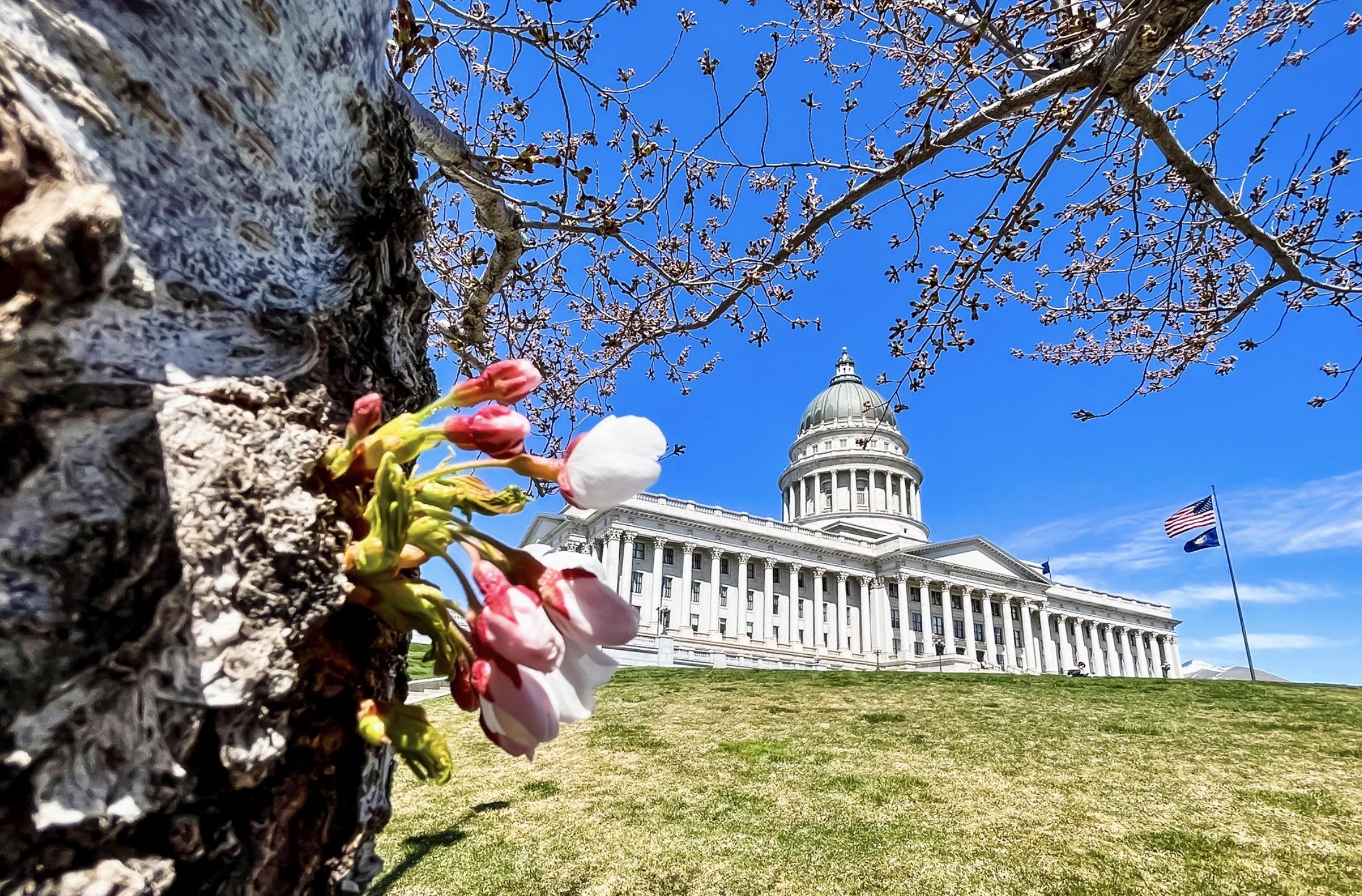 Committee tables bill seeking to change transfer rules for high school athletics