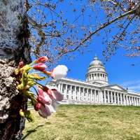 Committee tables bill seeking to change transfer rules for high school athletics