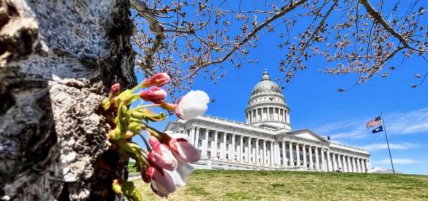 Committee tables bill seeking to change transfer rules for high school athletics