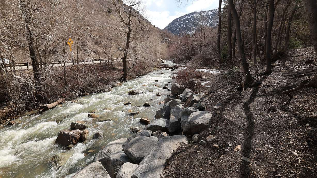 Water rushes down Big Cottonwood Creek in Big Cottonwood Canyon on April 14. Salt Lake City Public Utilities, which owns the water rights in the creek, said it's seeking scheduled rate increases and a new "drought surcharge" for the next fiscal year.