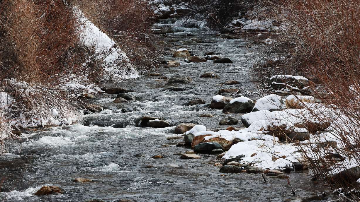 Water flows down Big Cottonwood Creek near Cottonwood Heights on Feb. 14. Utah Gov. Spencer Cox highlighted several conservation bills during a ceremonial signing Tuesday.