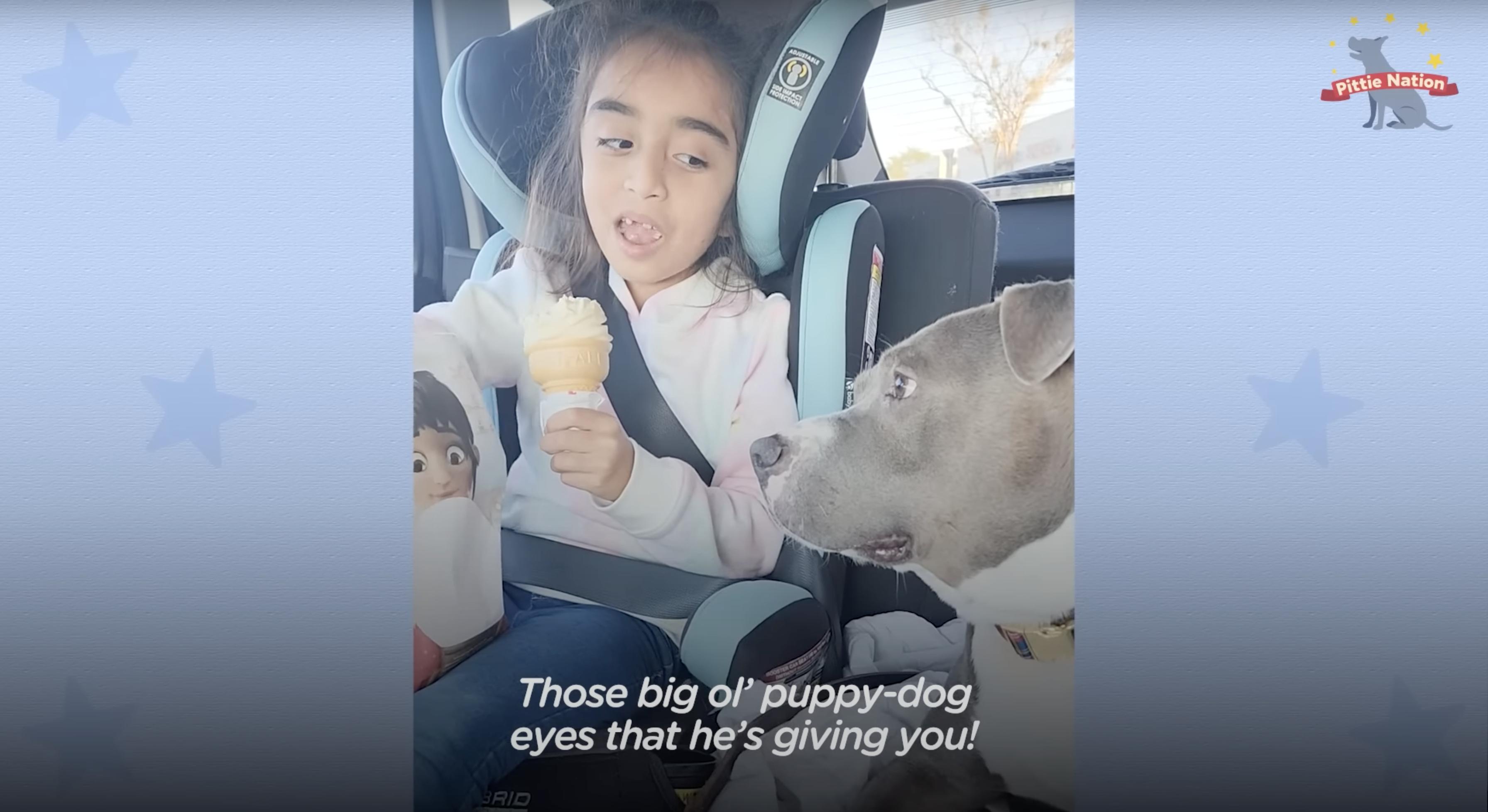Mila sits in a car with Chance, a pit bull rescue puppy struggling with an illness that made it difficult for him to eat, leading him to lose weight.