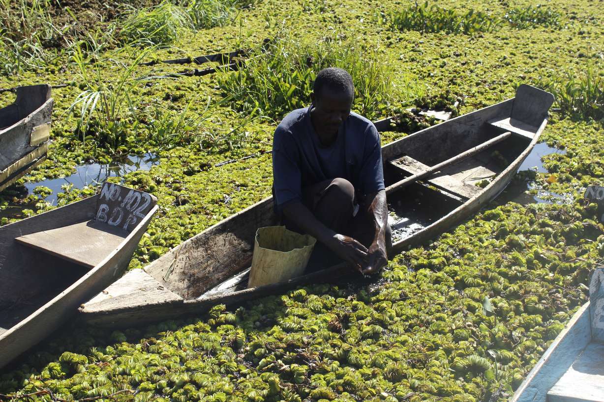 A man tries to pull invasive weeds out of Lake Nakuwa in Uganda in May 2019.