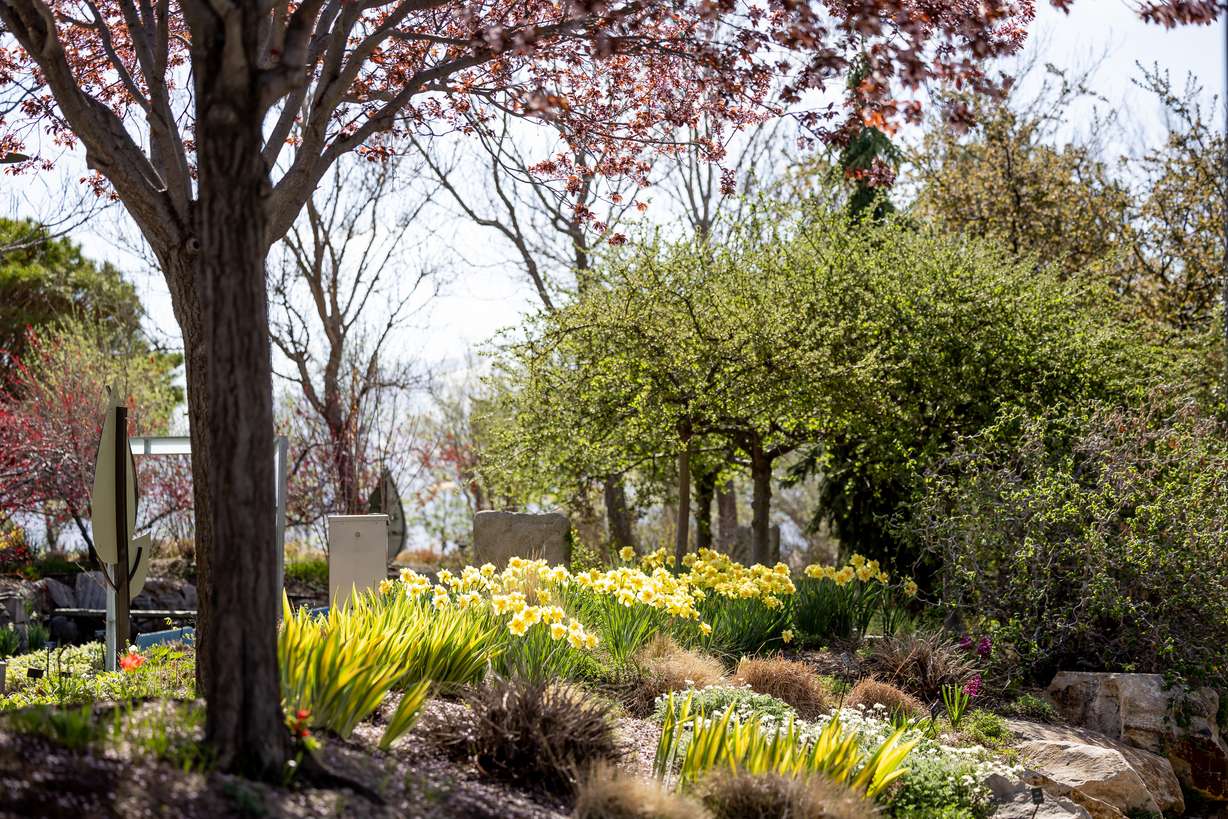 The Jordan Valley Water Conservancy District's Conservation Garden Park in West Jordan shows off examples of water-wise landscaping on Monday.