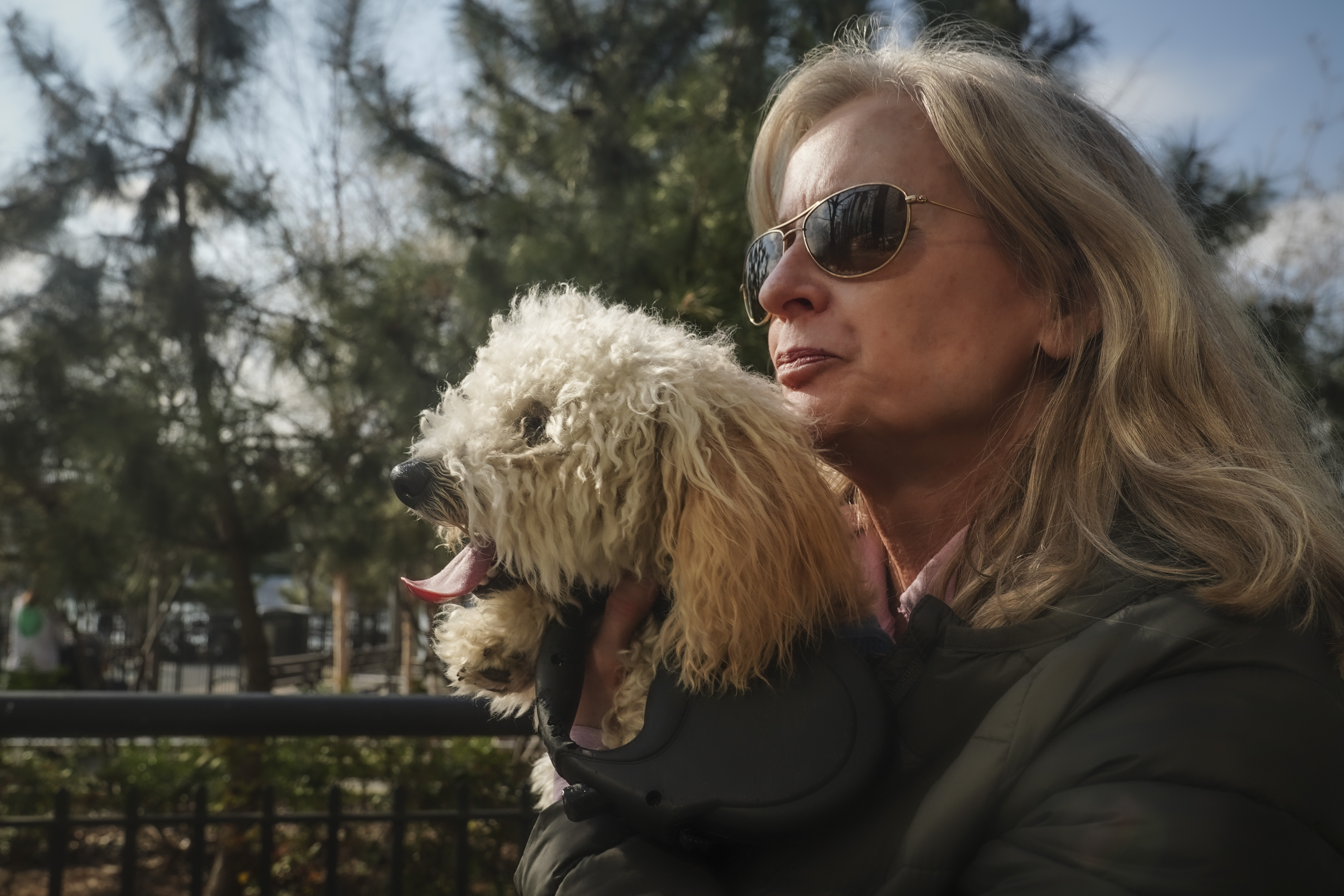 Colleen Briggs says her 8-month-old poodle named Bondi recently became sick. A quick diagnosis found he was likely poisoned after nibbling unfinished marijuana joints. 