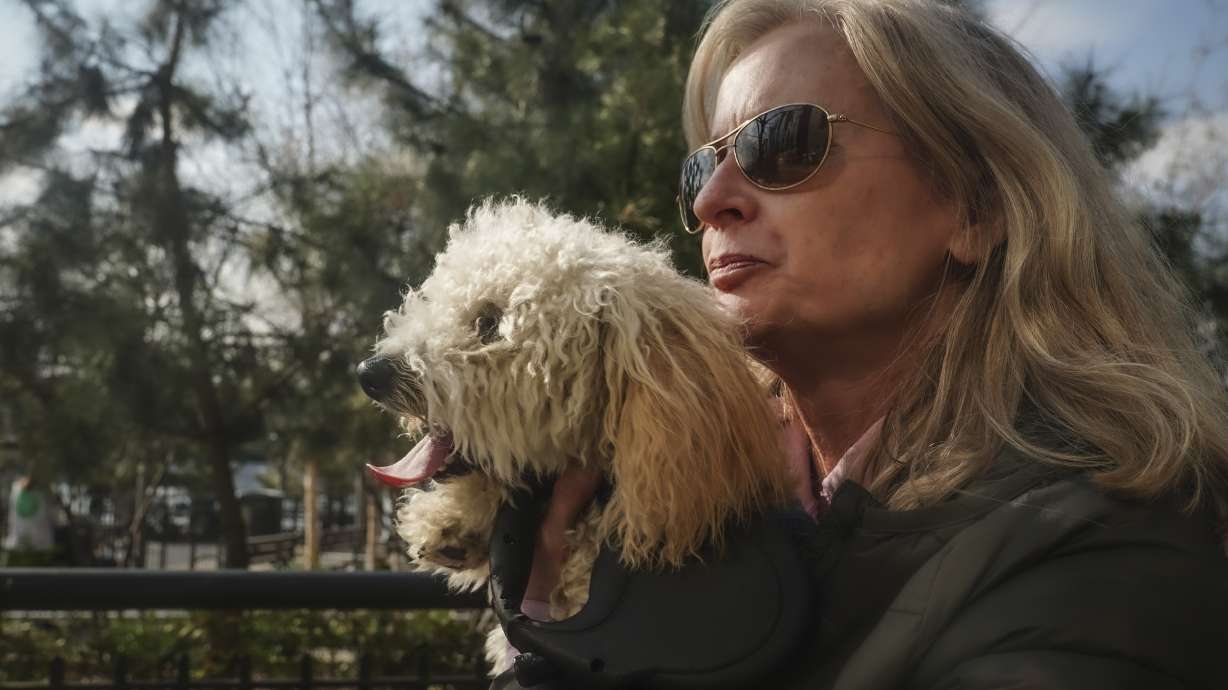 Colleen Briggs says her 8-month-old poodle named Bondi recently became sick. A quick diagnosis found he was likely poisoned after nibbling unfinished marijuana joints.