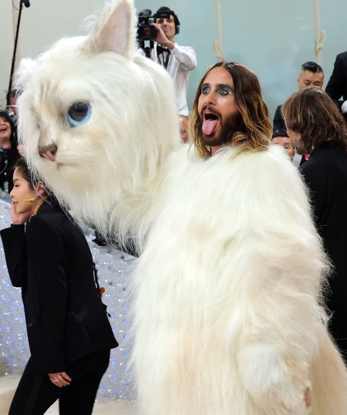 Have You Seen This? The Met Gala? More like the cat gala | KSL.com