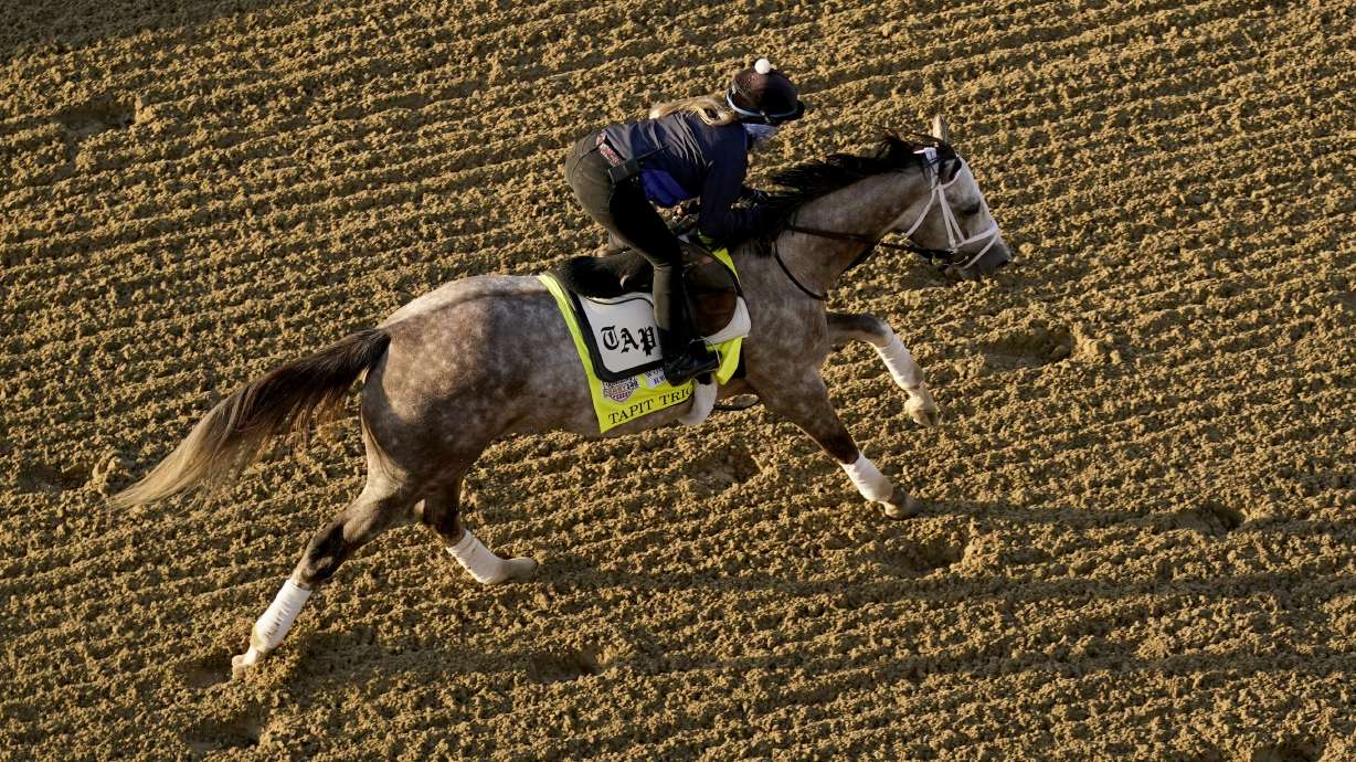 Kentucky Derby entrant Tapit Trice works out at Churchill Downs Thursday, May 4, 2023, in Louisville, Ky. The 149th running of the Kentucky Derby is scheduled for Saturday, May 6.