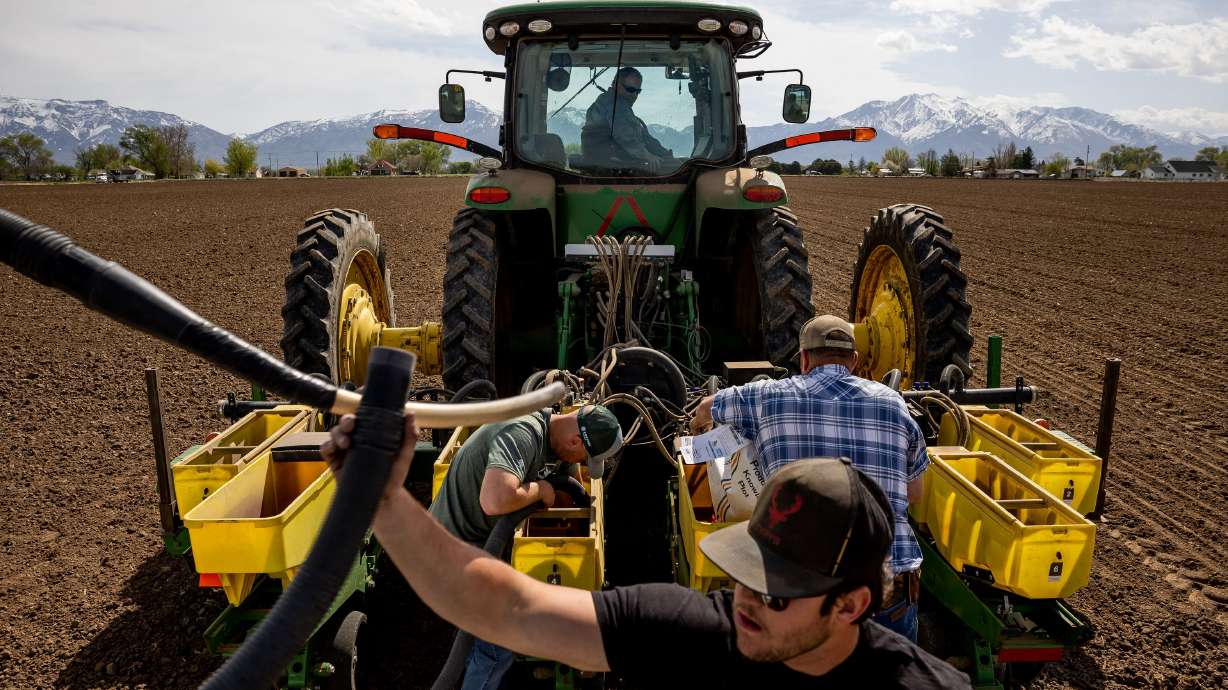 Ron Gibson, owner of Gibson’s Green Acres and president of the Utah Farm Bureau, looks down from the pilot seat of his tractor while Landon Potter, Wyatt Monroe and Shane Monroe switch between different varieties of corn seed in a planter on Gibson’s farm in Ogden on Thursday.