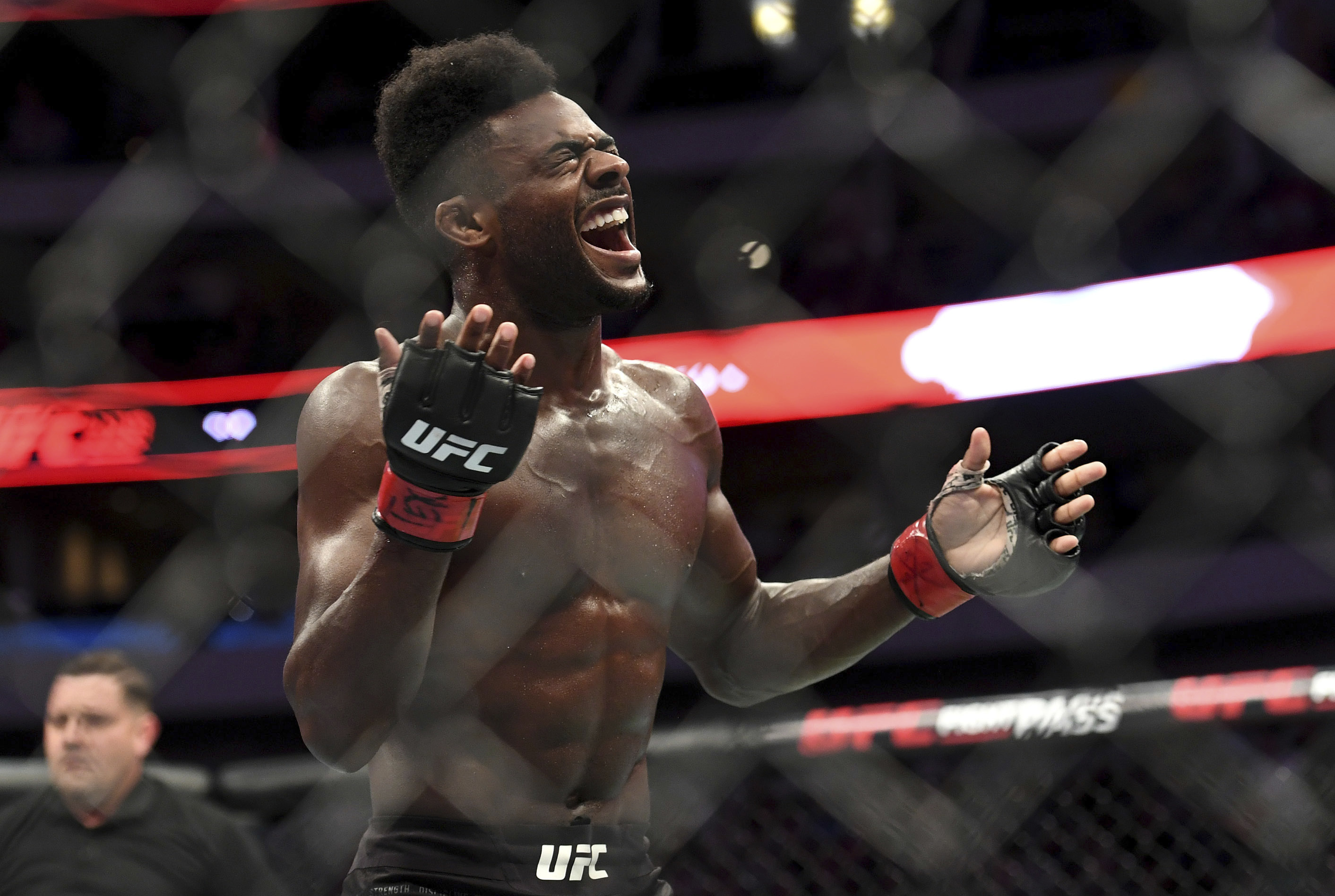 FILE - Aljamain Sterling celebrates after defeating Cody Stamann in their bantamweight mixed martial arts bout at UFC 228 on Saturday, Sept. 8, 2018, in Dallas. Former two-division world champion Henry Cejudo fights for the bantamweight title bout against reigning champion Aljamain Sterling. The are the main event of UFC 288 on Saturday at the Prudential Center in Newark, N.J. 