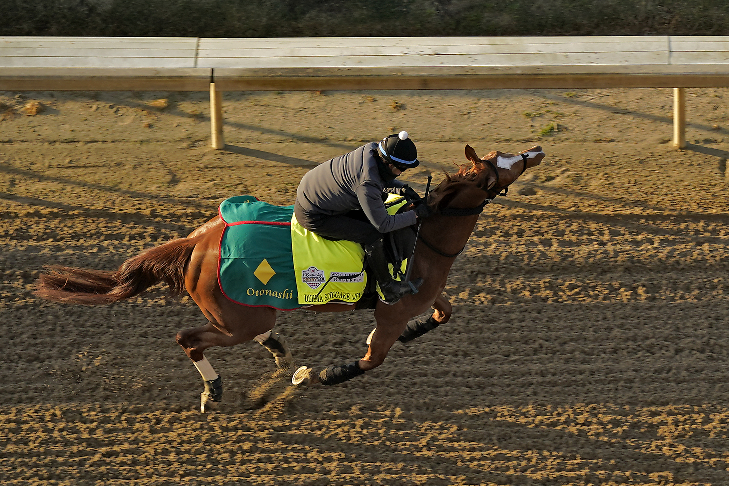 Kentucky Derby entrant Derma Sotogake, from Japan, works out at Churchill Downs Thursday, May 4, 2023, in Louisville, Ky. The 149th running of the Kentucky Derby is scheduled for Saturday, May 6. 