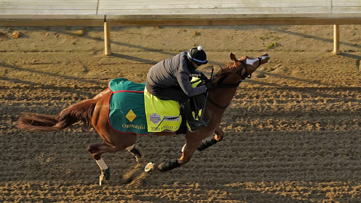 Kentucky Derby entrant Derma Sotogake, from Japan, works out at Churchill Downs Thursday, May 4, 2023, in Louisville, Ky. The 149th running of the Kentucky Derby is scheduled for Saturday, May 6.