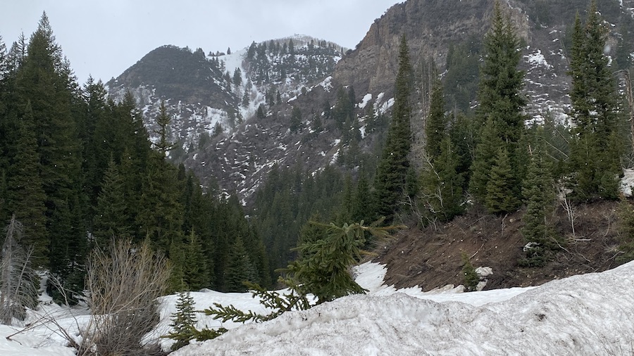 Hydrologist: We're only one-third of the way through snowmelt runoff ...