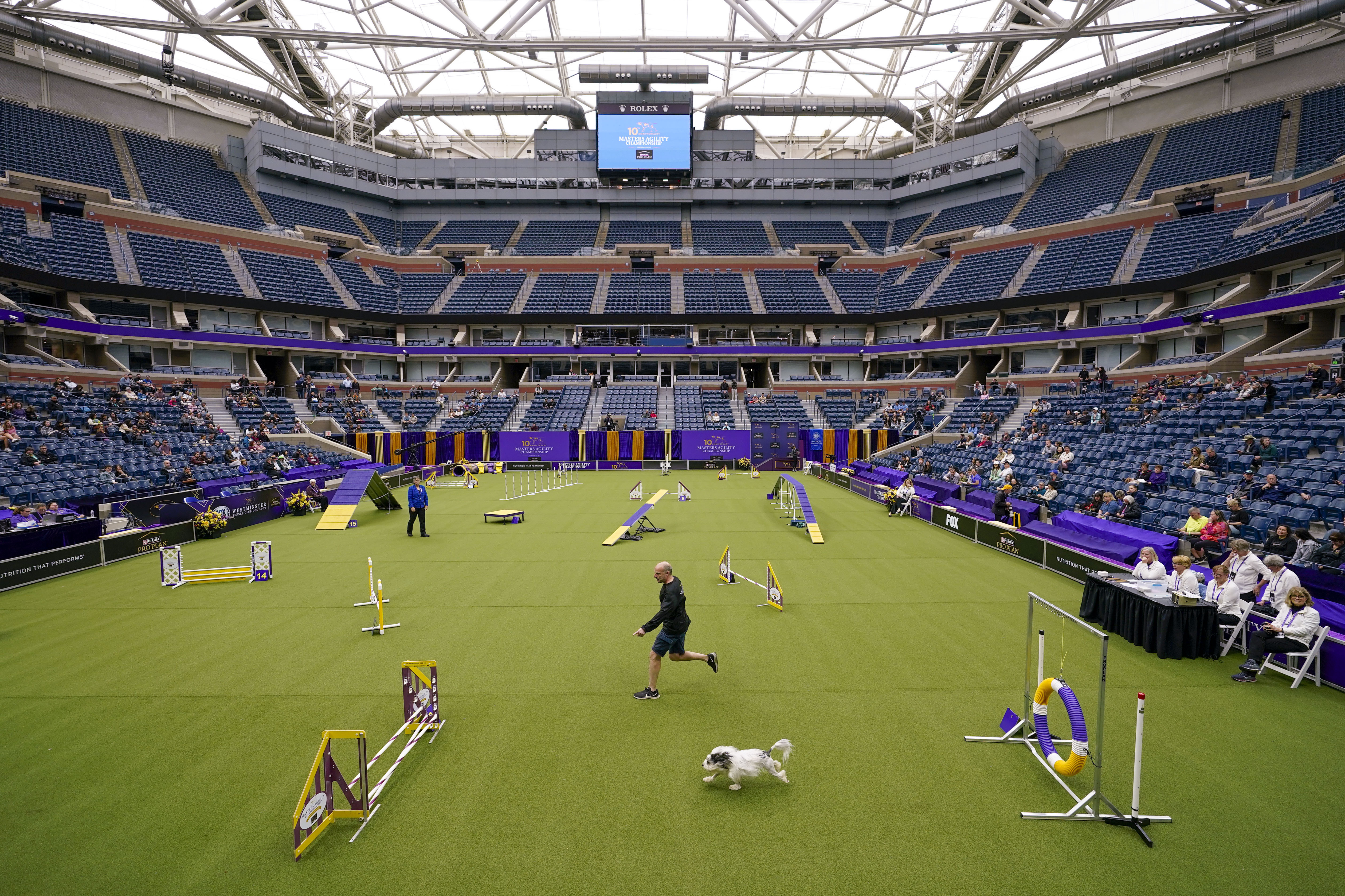 A handler and his dog compete in the agility preliminaries inside Arthur Ashe stadium during the 147th Westminster Kennel Club Dog show, Saturday, May 6, 2023, at the USTA Billie Jean King National Tennis Center in New York. 